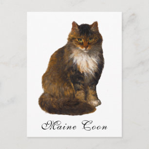 Cartão Postal Pintura de Gato de Maine Coon Vitoriana Antiquada