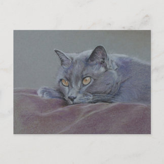 Cartão Postal pintura de gato-do-litoral azul-britânico