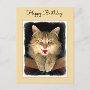 Cartão Postal Pintura de Gatos Loucos - Arte de Gato Original Bo