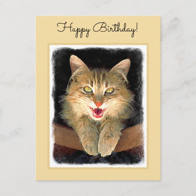 Cartão Postal Pintura de Gatos Loucos - Arte de Gato Original Bo (Frente)