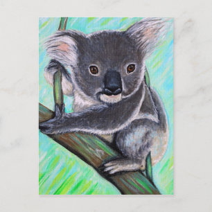 Cartão Postal Pintura de Koala