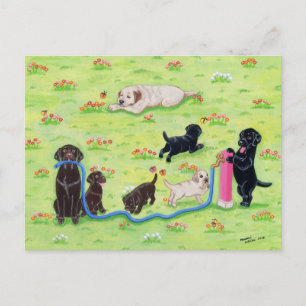 Cartão Postal Pintura de Labradores de Diversão primavera