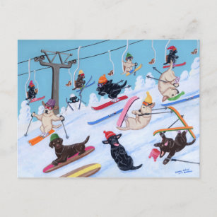 Cartão Postal Pintura de Labradores de Esqui Divertido de invern