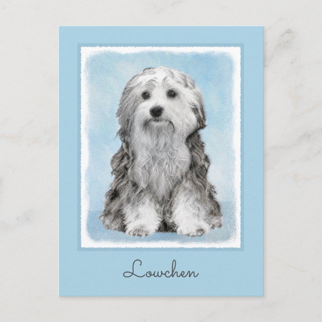 Cartão Postal Pintura De Lowchen - Arte De Cachorro Original Cus (Frente)