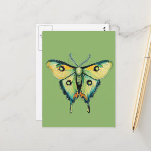 Cartão Postal Pintura de Mariposa Luna em Verde
