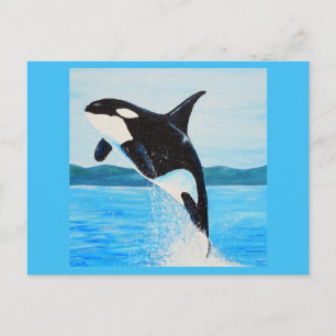 Cartão Postal Pintura de Orca