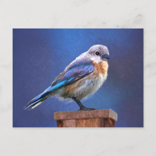 Cartão Postal Pintura de pássaro-azul (feminina) - Arte de pás