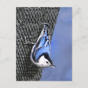 Cartão Postal Pintura De Pássaros De Casca Branca