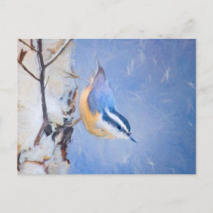 Cartão Postal Pintura De Pássaros Original De Raça Vermelha