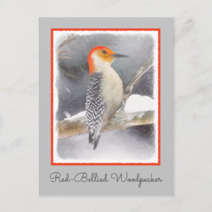 Cartão Postal Pintura De Pica-Pau De Belém Vermelho - Arte De Pá