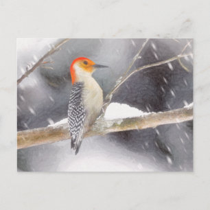Cartão Postal Pintura De Pica-Pau De Belém Vermelho - Arte De Pá