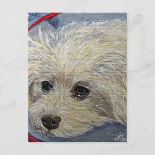 Cartão Postal Pintura de Poodle de Brinquedo - Cece