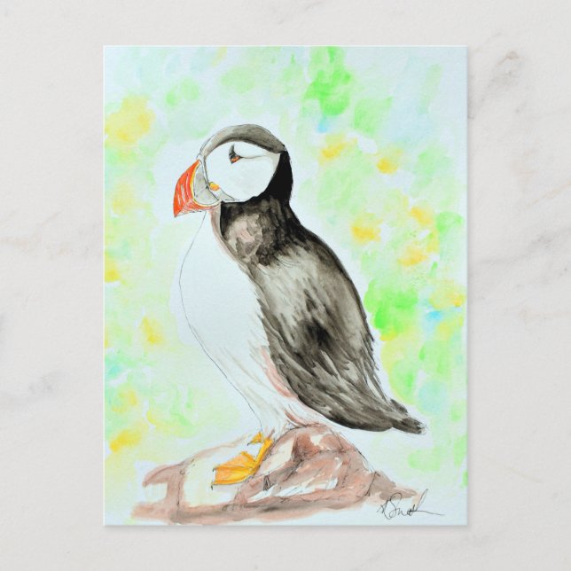 Cartão Postal Pintura de Puffin e de Aquarela (Frente)