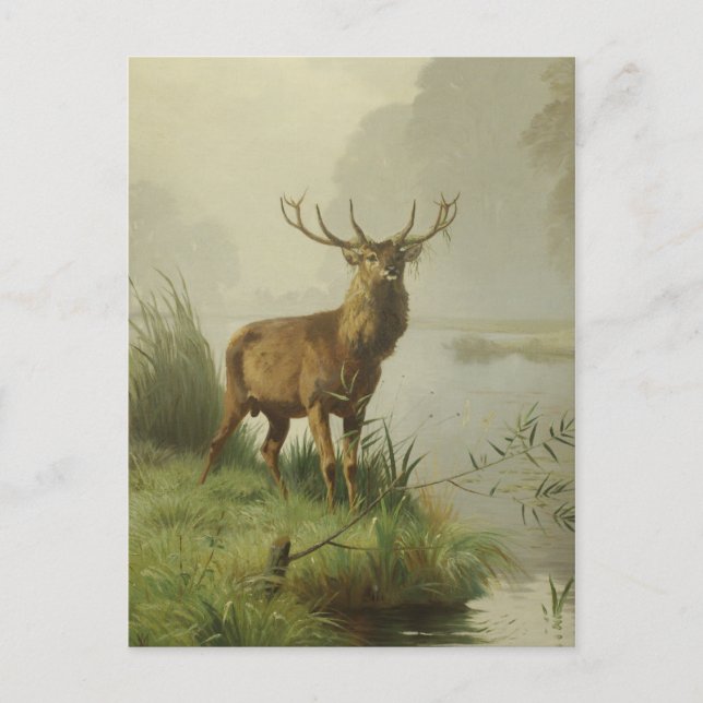 Cartão Postal pintura de Red Deer (Frente)