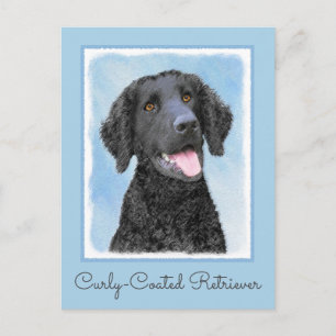 Cartão Postal Pintura De Retriever Revestida Curly - Arte De Cão