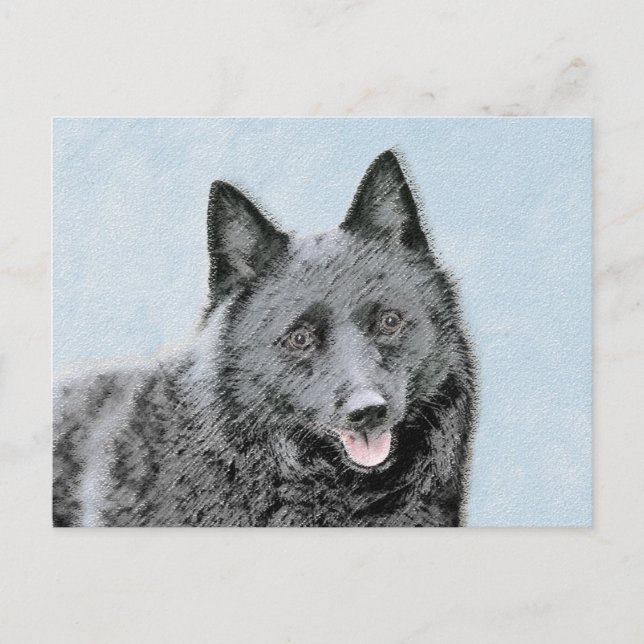Cartão Postal Pintura de Schipperke - Arte de Cachorro Original (Frente)