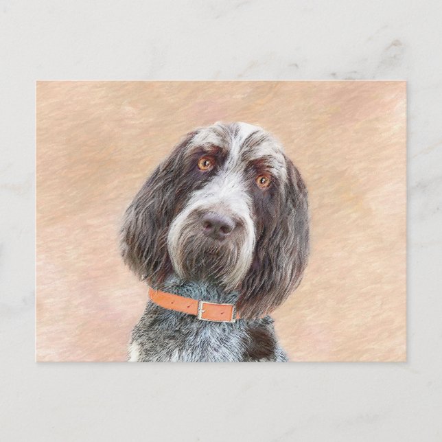 Cartão Postal Pintura de Spinone Italiano - Arte de Cachorro Ori (Frente)