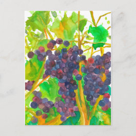 Cartão Postal Pintura De Uvas De Vinho