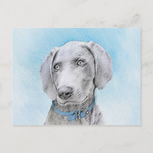 Cartão Postal Pintura de Weimaraner - Arte de Cachorro Original
