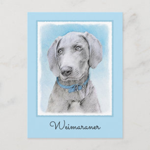 Cartão Postal Pintura de Weimaraner - Arte de Cachorro Original