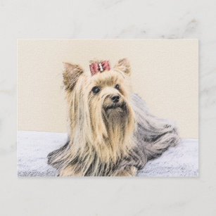 Cartão Postal Pintura de Yorkshire Terrier - Arte de Cachorro Or