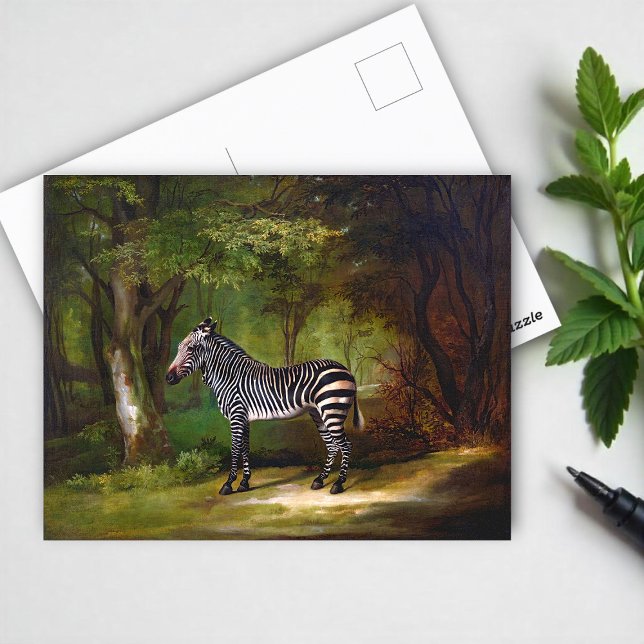 Cartão Postal Pintura de Zebra (1763) de George Stubbs (Criador carregado)