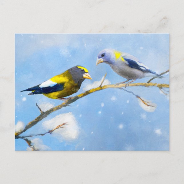 Cartão Postal Pintura do Evening Grosbeak - Arte Original e Fofa (Frente)