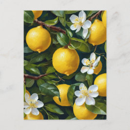 Cartão Postal Pintura do Flor com Fruta de Limão