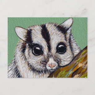 Cartão Postal Pintura do Glider de Açúcar