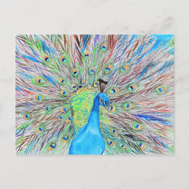 Cartão Postal Pintura do Peacock de Aquarela (Frente)