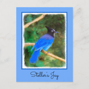 Cartão Postal Pintura do Steller's Jay - Arte Original de Pássar