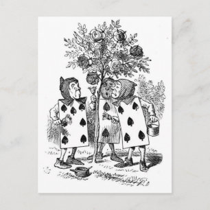 Cartão Postal Pintura Do Vermelho Rosa