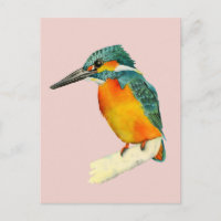 Pintura em Aquarela de Kingfisher