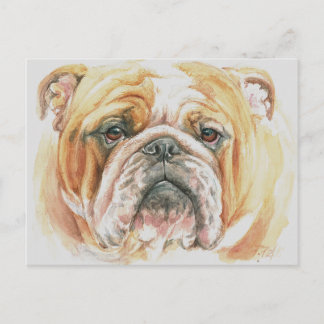 Cartão Postal Pintura em Aquarela do Rosto do Cachorro Bulldog I