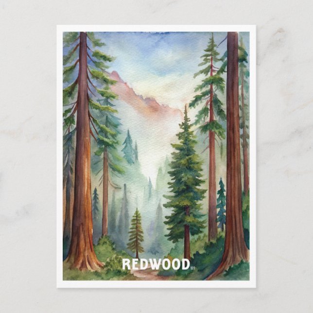 Cartão Postal Pintura em Aquarela no Parque Nacional da Sequoia (Frente)