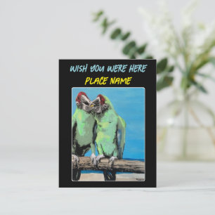 Cartão Postal Pintura em "Beach Parrots"