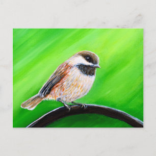 Cartão Postal Pintura em Chickadee Amiga