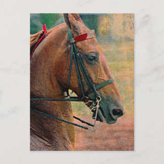 Cartão Postal Pintura em Faux Saddlepura