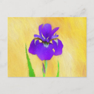 Cartão Postal Pintura em Íris com pérola - Cão original branco A