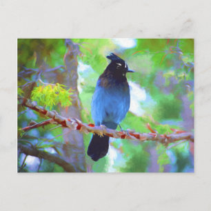 Cartão Postal Pintura em Jay de Steller - Arte original sobre p