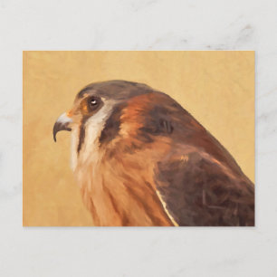 Cartão Postal Pintura em Kestrel Americano - Arte original sobre