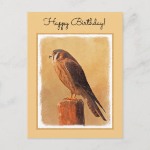 Cartão Postal Pintura em Kestrel Americano - Arte original sobre