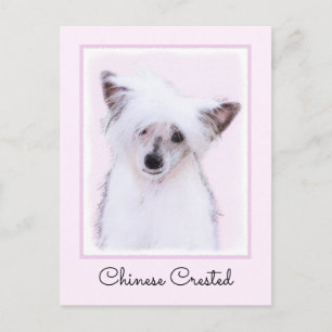 Cartão Postal Pintura em Pó Chinês - Arte Canina