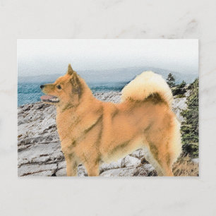 Cartão Postal Pintura em Seashore - Arte Canina