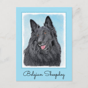 Cartão Postal Pintura em Sheepdog Belga - Arte em Cachorro Origi