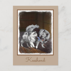 Cartão Postal Pintura em tempo de reprodução de Keeshond - Arte 