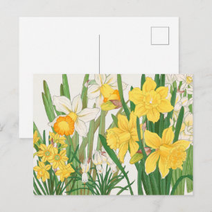 Cartão Postal Pintura em Xilogravura de Narciso, Tanigami Kônan,