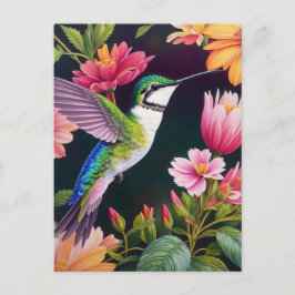 Cartão Postal Pintura Floral Colorida do Hummingbird