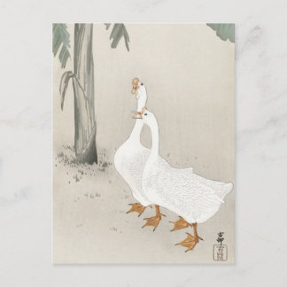 Cartão Postal Pintura japonesa por ohara koson,vintage小 原 古 邨 の