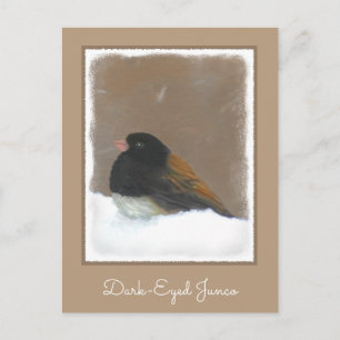 Cartão Postal Pintura Junco De Olhos Escuros - Arte De Pássaro